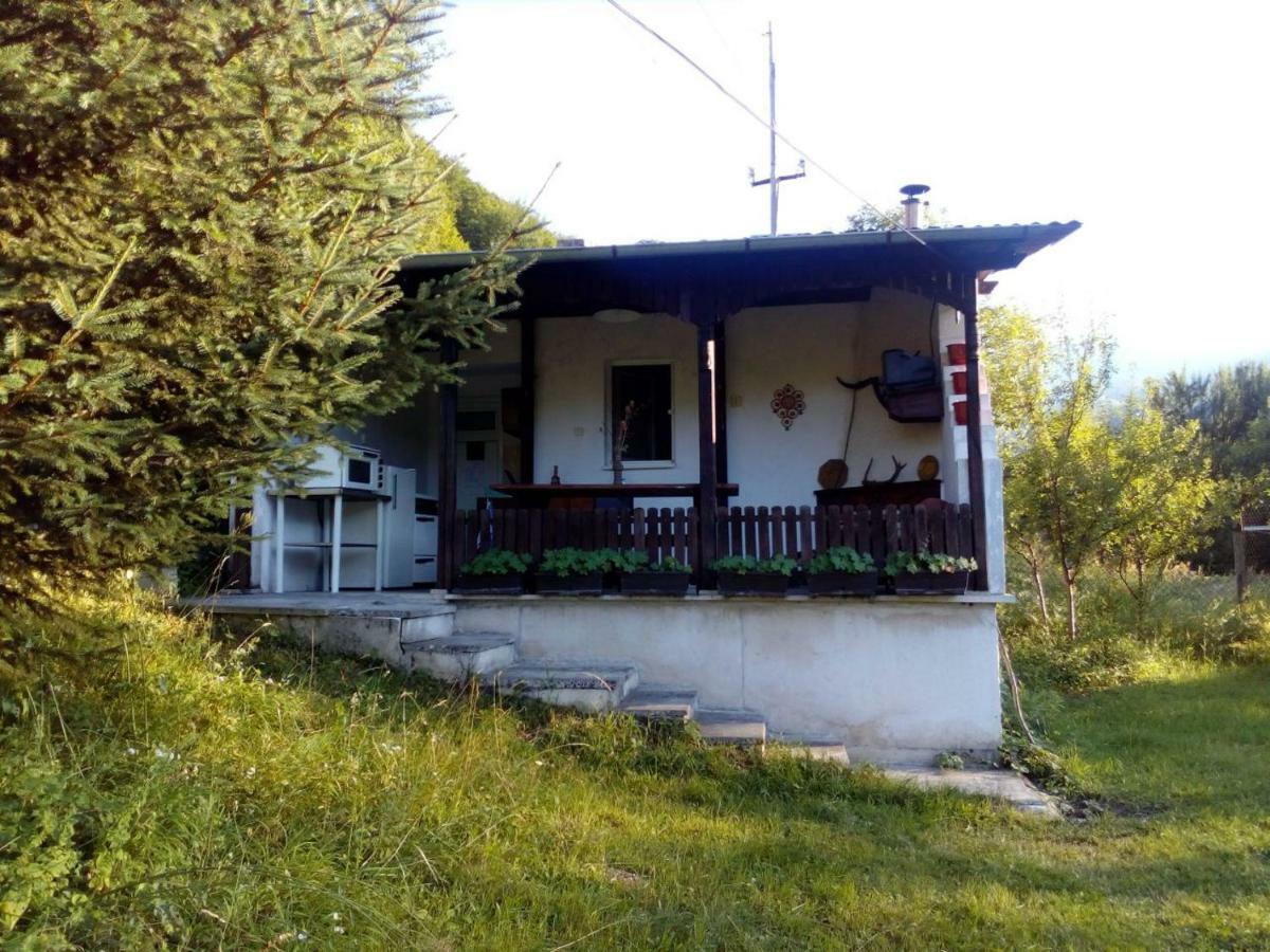 Bungalows Zdravets Berkovica Exteriér fotografie