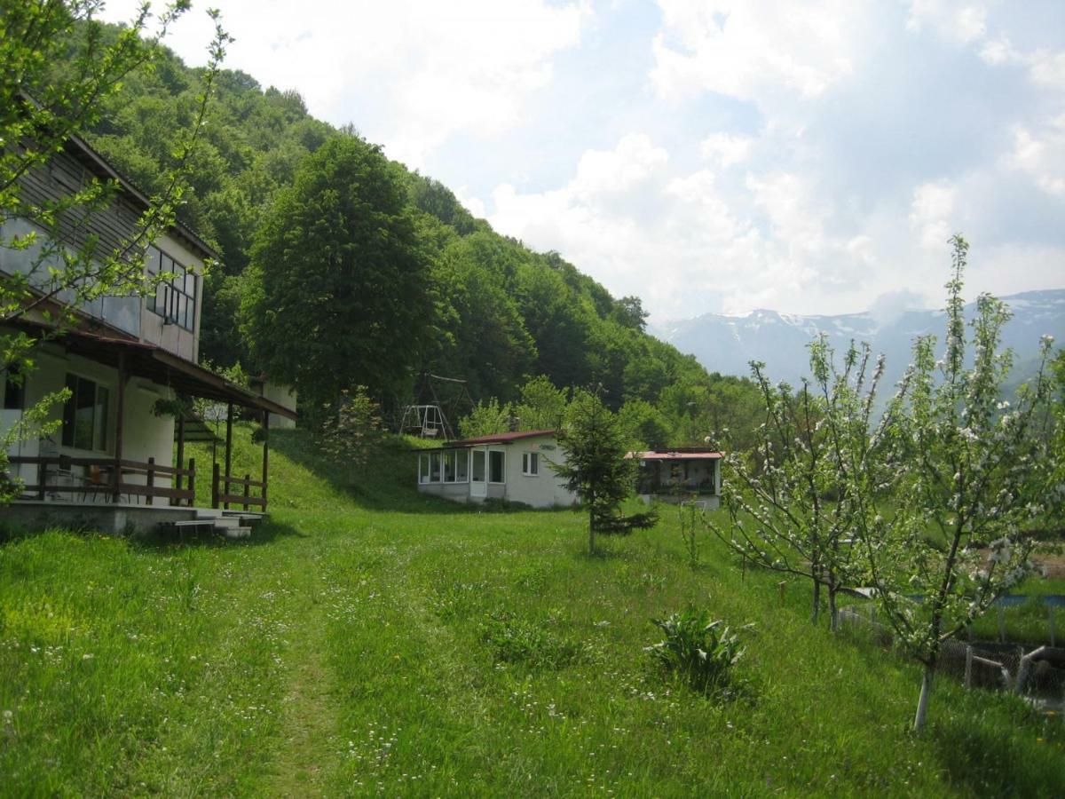 Bungalows Zdravets Berkovica Exteriér fotografie