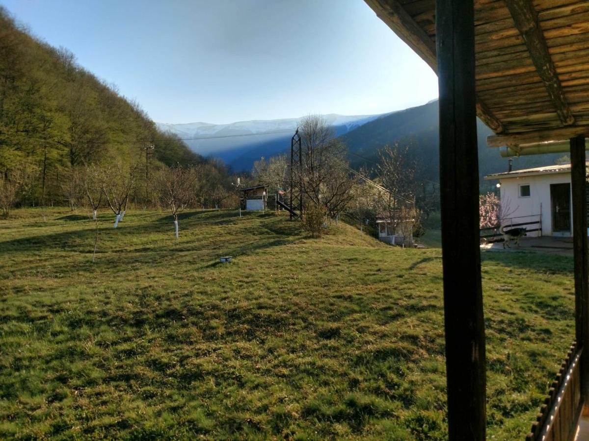 Bungalows Zdravets Berkovica Exteriér fotografie