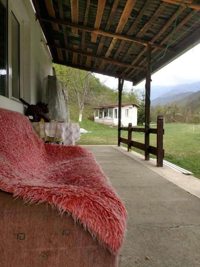 Bungalows Zdravets Berkovica Exteriér fotografie